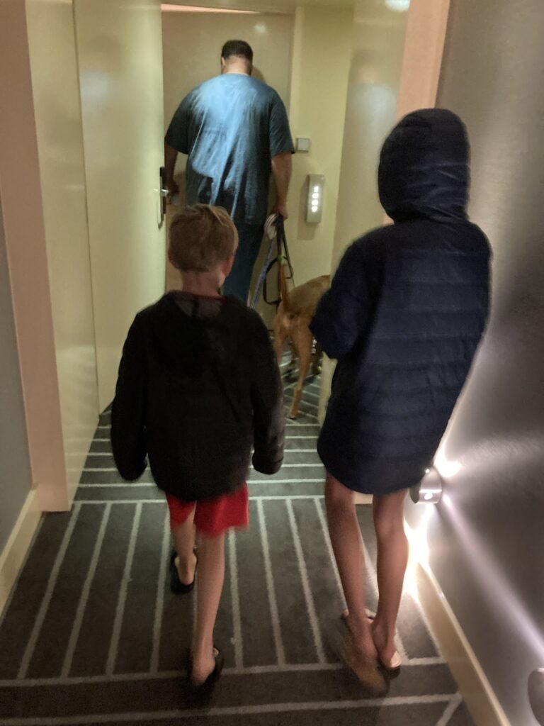 A family of three with their dog walking into their hotel room