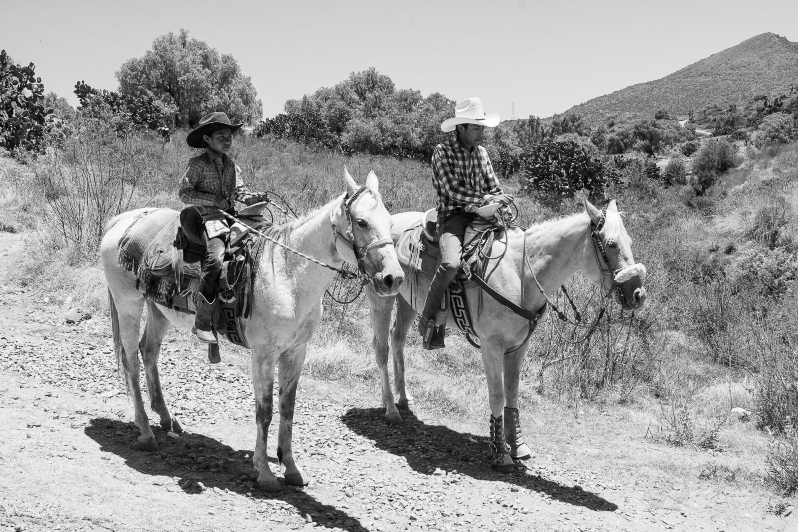 A man and young boy on horseback