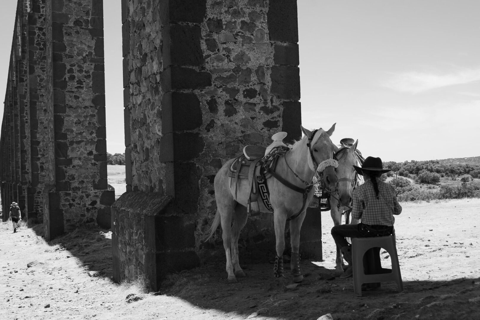 A person sitting in front of two horses